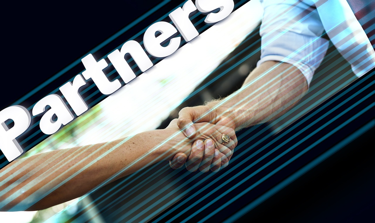 handshake, hands, partner